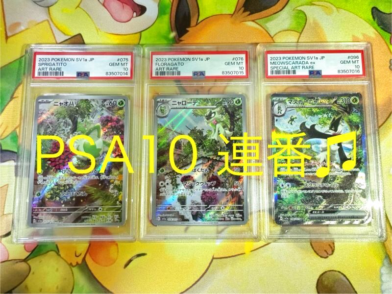 【３連番】ニャオハ進化ラインPSA10 3枚セット：ニャオハ【AR】{075/073} [SV1a],ニャローテ【AR】{076/073}  [SV1a],マスカーニャex【SAR】{096/073} [SV1a]